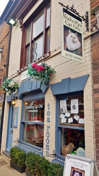 Cat Cafe London, Owning A Cafe Aesthetic, Stratford Upon Avon Aesthetic, Cat Cafe Exterior, Cat Cafe Interior, Cat Cafe Aesthetic, Libro Aesthetic, Animal Cafe, Cat Cafes