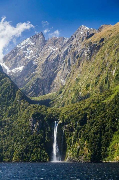 Milford Sound, Fiordland National Park, New Zealand Milford Sound New Zealand, Milford Sound, New Zealand Travel, Beautiful Waterfalls, Queenstown, Places Around The World, Auckland, Wonderful Places, Beautiful World