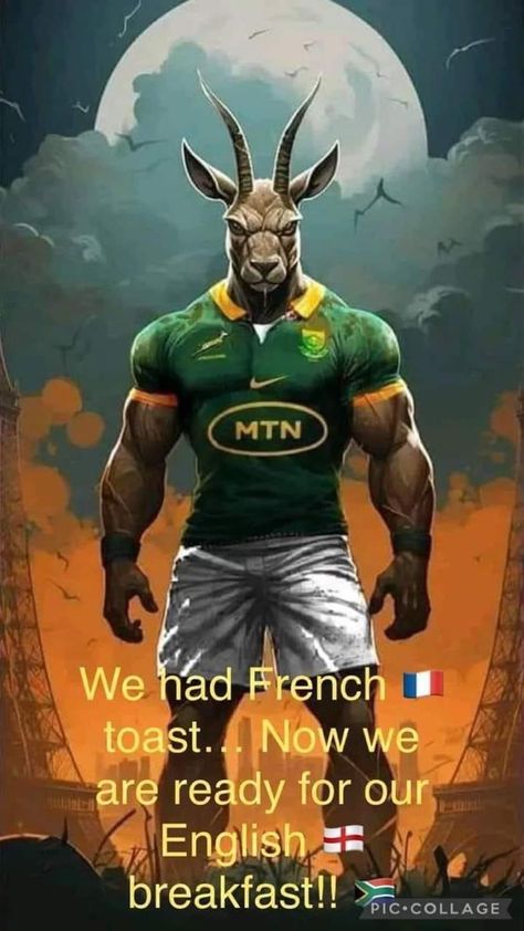 Springbok Rugby Players, Springboks Rugby South Africa, Rugby Images, Rugby Wallpaper, Rugby Birthday, South African Rugby, Six Nations Rugby, Springbok Rugby, Rugby World Cup 2023