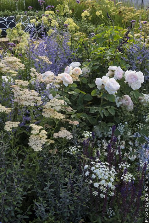 Rosemary Garden, Hampton Garden, Rosen Beet, Hampton Court Flower Show, Garden Catalogs, Country Gardens, Cottage Garden Design, Garden Girls, Home Landscaping