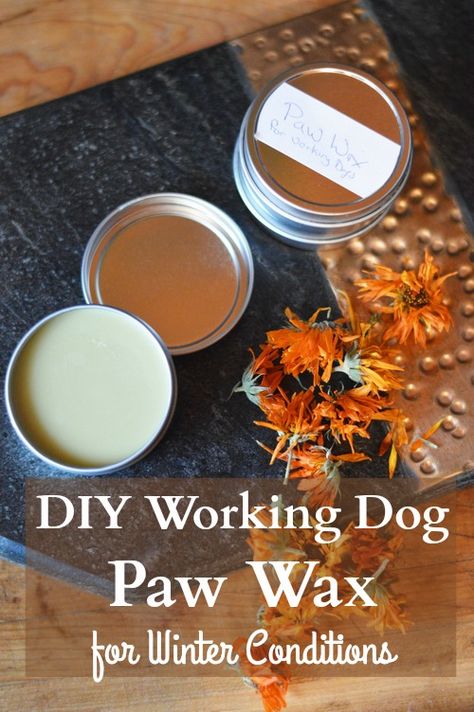 DiY paw wax keeps the ice from forming on the bottom of your dog's paws and protects the dog's paw from winter injury's resulting from cold and dryness. Dog Paw Wax, Dog Paw Balm, Paw Wax, Dogs Paw, Dog Remedies, Paw Balm, Working Dog, Dog Projects, Poodle Puppy