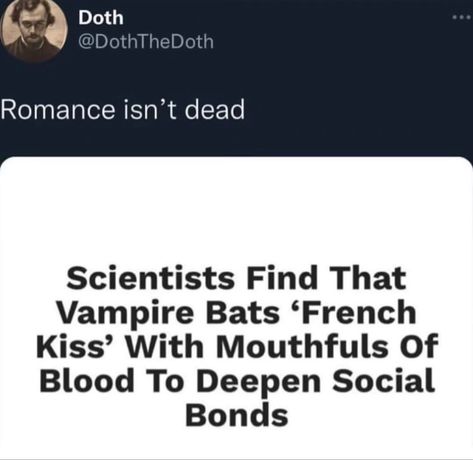 Vampire Core Aesthetic, Vampire Oc, Me And Who, Vampire Bat, Cool Captions, Interview With The Vampire, Text Posts, What’s Going On, Hopeless Romantic