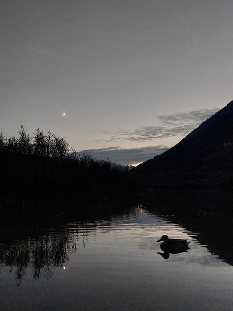 #lake #night #midnight #sky #aesthetic #moon #moonlight #moonshine #nightsky #midnightsky #duck #ducks #water #lake #river Night River Aesthetic, Lake At Night Aesthetic, Midnight Sky Aesthetic, Sky Aesthetic Moon, Lake Night, Aesthetic Moon, Midnight Sky, Night Vibes, Summer Ideas