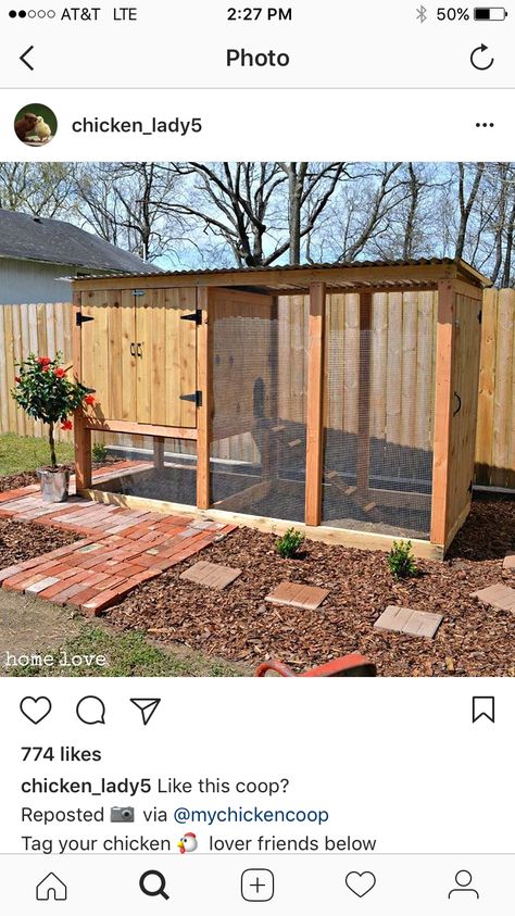 Chicken Coop Cheap Easy, Diy Chicken Coop Walk In, Simple Walk In Chicken Coop, Patio Chicken Coop, Small Chicken Coop And Run Ideas, Diy Chicken Coop Simple, Chicken Coop For 2 Hens, Chicken Run Ideas Diy Cheap, Basic Chicken Coop Diy