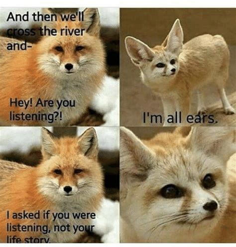 Fennec Fox Pet, Fox Memes, Unique Pets, Fox Pictures, Animal Puns, Fennec Fox, Pet Fox, Silly Animals, Cute Fox