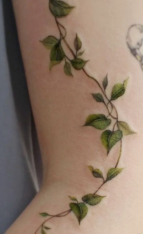 Ivy Back Tattoo, Ivy Tattoo, Green Tattoos, Vine Tattoo, More Tattoo, Koi Tattoo, Intricate Tattoo, Ornamental Tattoo, Vine Tattoos