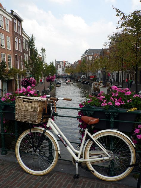 Traci's Travels: a bicycle chained up next to a canal, Leiden, Holland, September 2014. Amsterdam Bridge, Amsterdam Bicycle, Dutch Bicycle, Bike Tattoos, Goal Board, Amsterdam Canals, Vintage Vehicles, Bicycle Chain, 2025 Vision