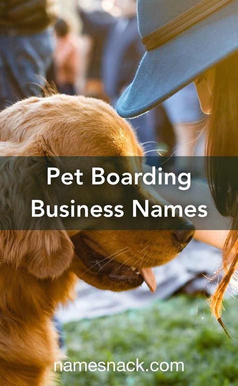 Dog Boarding Business Names, Pet Boarding Business Ideas, Doggy Daycare Business, Business Name Ideas Unique, Dog Boarding Business, Name Ideas Unique, Names For Companies, Hotel Pet, Dog Boarding Facility