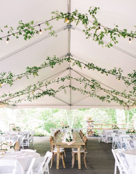 Simple Tent Decorations, Flowers Hanging From Tent Wedding, Pathway Lighting Wedding, Rustic Tent Decor, Ivy Decoration Wedding, Simple Tent Decor, Wedding Tent Lighting Ideas, Tent Greenery Wedding, Tent Flower Decorations