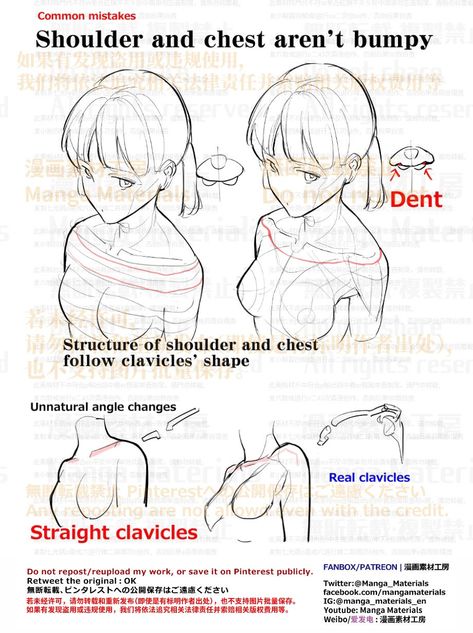 Manga Materials English on Twitter: "PERSONAL NOTE: shoulder and chest connect with Clavicles Structure of the shoulder basics Patreon https://t.co/woaUDNMFBt FANBOX https://t.co/H0QcLFDPO4 Shoulders and the chest : Tutorial Summary Patreon https://t.co/e4ufm6Cd8l FANBOX https://t.co/yAq4P5Pwtp https://t.co/IBeB7RDo7e" / Twitter How To Draw Woman Chest, How To Draw Shoulders, Arm Around Shoulder Reference, Drawing Shoulders, Shoulder Drawing Reference, Shoulders Drawing, Shoulder Reference, Anime Shoulder, Drawing Examples