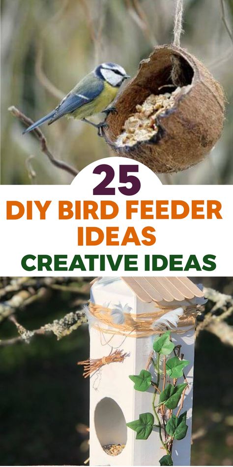 Welcome feathered friends to your garden in style with these charming DIY bird feeder ideas! Elevate your outdoor space with creative and unique feeders made from recycled materials or inspired by nature. These projects not only provide nourishment for birds but also double as decorative elements, adding joy to your garden. Embrace the beauty of birdwatching and nature with fun and easy crafting that brings whimsy to your backyard! Upcycled Bird Feeder, Mini Rock Garden, Bird Feeders For Kids To Make, Bird Feeder Station, Unique Bird Feeders, Fall Landscaping, Mailbox Landscaping, Bird Feeder Craft, Easy Bird