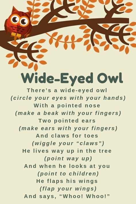 Forest Animals Preschool, Owl Preschool, Owl Activities, Preschool Poems, Library Programming, Kindergarten Songs, Childrens Poems, Classroom Songs, Songs For Toddlers