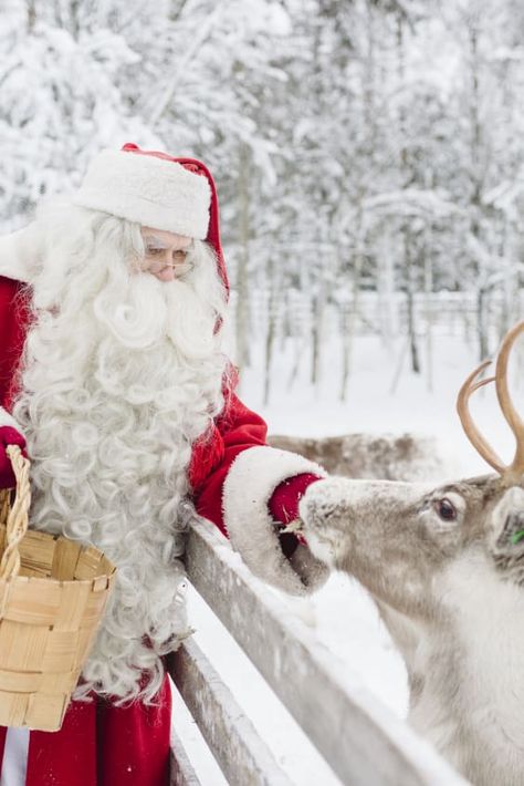 Christmas Aesthetic Santa Claus, Christmas In Finland Aesthetic, Santa Village Finland, Santa Aesthetic Christmas, Santa Claus Village Finland, Santa Claus Aesthetic, Christmas In Finland, Santa Aesthetic, Real Reindeer