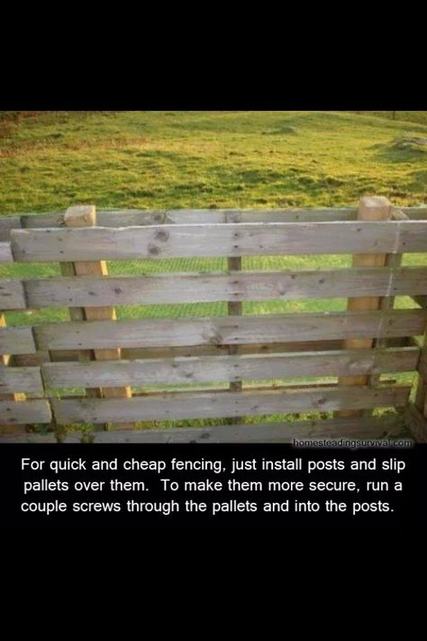 Cheapest And Easiest Way To Build A Fence Cheap Fencing, Homestead Inspiration, Cheap Fence, Pallet Fence, Long Kitchen, Diy Fence, Building A Fence, Building A Chicken Coop, Fence Posts