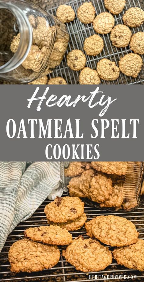 Healthy Oatmeal Spelt Cookies (with your favorite add-ins) - Heritage revived Spelt Oatmeal Cookies, Spelt Recipes Grains, Fresh Milled Spelt Recipes, Spelt Chocolate Chip Cookies, Fresh Milled Recipes, Fresh Milled Cookies, Fresh Milled Flour Cookies, Spelt Flour Cookies, Organic Cookies Recipe