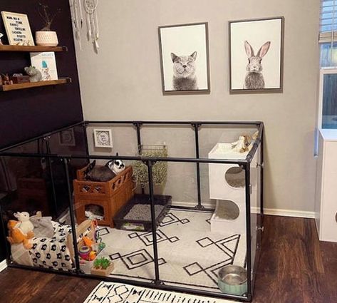 The Ultimate Guide to Setting Up a Perfect Rabbit Pen | Clearly Loved Pets Rabbit Indoor House Ideas Small Space, Diy Rabbit Indoor Enclosure, C&c Bunny Cage, Bedroom Bunny Setup, Diy Bunny Pen Indoor, Bunny Proof Room, Pet Rabbit Enclosure, Best Rabbit Cage Indoor, Indoor Rabbit Setup Ideas