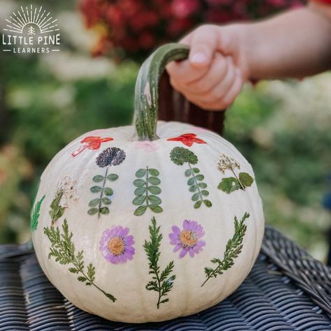 Sensory Writing, Decorate Pumpkins, Flower Pumpkin, Leaf Lantern, No Carve Pumpkin Decorating, Pumpkin Carving Designs, Pressed Flower Crafts, Wizard Hat, Pretty Pumpkins