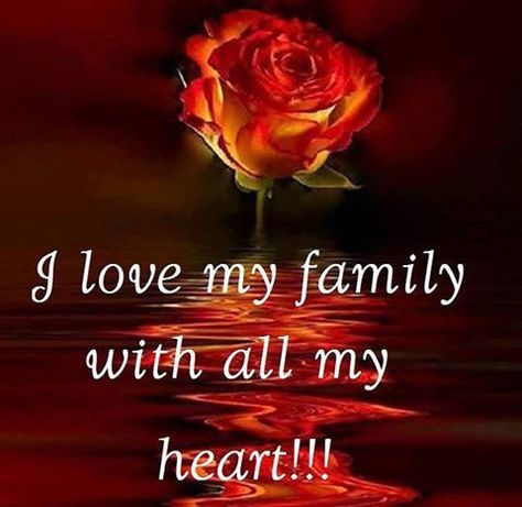 I Love My Family With All My Heart quotes quote kids mom mother family quote… Happy Valentines Day Family, Love My Family Quotes, Funny Good Morning Images, I Love My Family, My Children Quotes, Valentines Day Wishes, Mother Family, Valentine Quotes, Good Morning Image Quotes