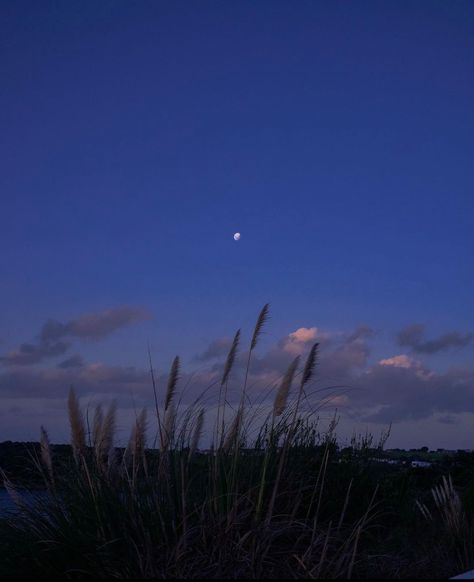 Blue Hour Photography, Blue Dream, Blue Hour, Wallpaper For Your Phone, Aesthetic Images, Night Aesthetic, Beach Aesthetic, Sky Aesthetic, Blue Tones