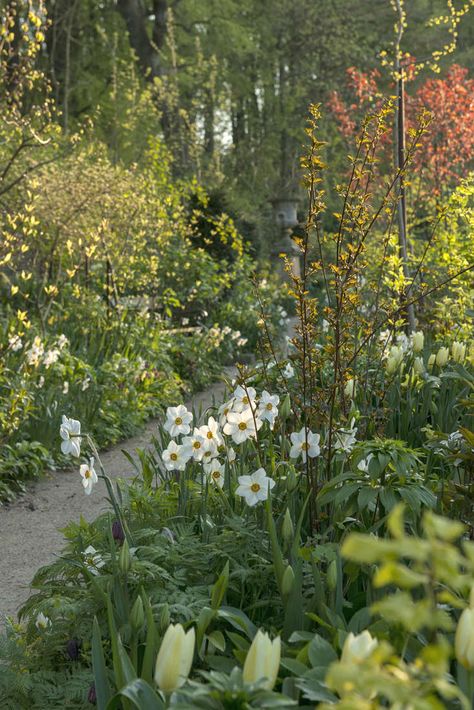 Scandinavia's Martha Stewart: A Garden Visit with Claus Dalby Have Inspiration, Woodland Garden, Natural Garden, Flower Ideas, Garden Cottage, Country Gardening, English Garden, Shade Garden, Spring Garden