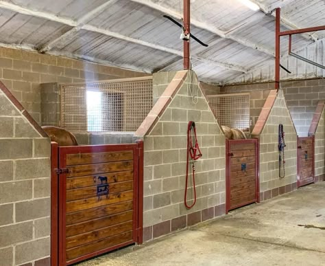 Horse Stalls Cheap, Horse Stables Design, Horse Stalls Doors, Equine Stables, Barn Layout, Stable Style, Horse Farm Ideas, Horse Barn Ideas Stables, Barn Stalls