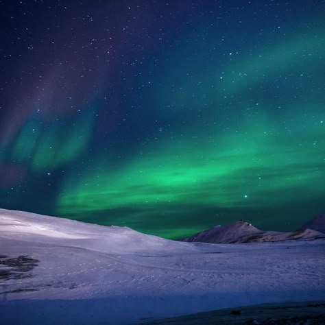 The tundra is a vast, flat, treeless Arctic ❄️ region where the subsoil is permanently frozen – or that, at least, used to be the case. A huge study 🗃 that spanned over 3 decades has found that low-lying shrubs, grasses and other plants in the Arctic are getting taller 🌱 due to rising temperatures. The consequences are the following: 1️⃣ Taller plants help make the Earth’s surface darker, allowing the tundra ecosystem to trap more heat from the sun, and start melting💧. 2️⃣ Taller Arctic ... Arctic Tundra Landscape, Alaskan Tundra Wolf, Frozen Tundra Aesthetic, Tundra Aesthetic Dark, Arctic Landscape Photography, Arctic Tundra Aesthetic, Tundra Photography, Tundra Ecosystem, Tundra Aesthetic