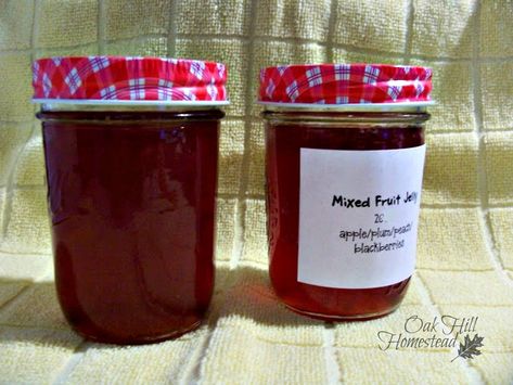 Mixed Fruit Jelly Recipe, Mixed Fruit Jam Recipe, Mixed Fruit Jam, Food Saver Hacks, Fruit Jelly Recipe, Healthy Canning, Fruit Jam Recipes, Mixed Fruit Juice, Canning Jam Recipes