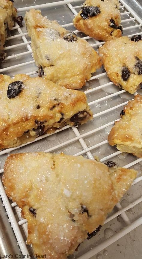 Dried Cherry Vanilla Scones Desserts With Dried Cherries, Dried Cherry Desserts, Recipes For Dried Cherries, Recipes Using Dried Fruit, Dry Cherry Recipes, Dried Cherries Recipes Baking, Dried Cherry Bread, Recipes With Dried Cherries, Dried Sweet Cherries Recipe