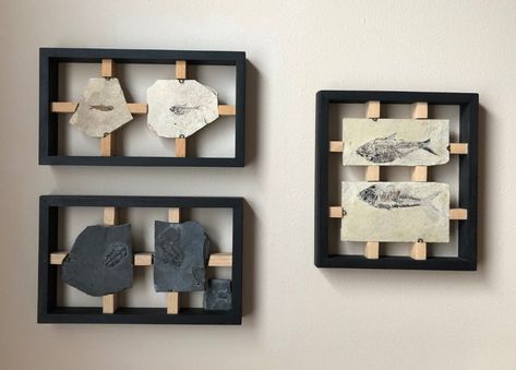 “show us your handmade display stands” - Page 5 - Fossil Preparation - The Fossil Forum Fossil Home Decor, How To Display Fossils, Mineral Display Ideas, Fossil Collection Display, Fossil Display Ideas, Fossil Bathroom, Display Fossils, Fossil Decor, Fossil Display