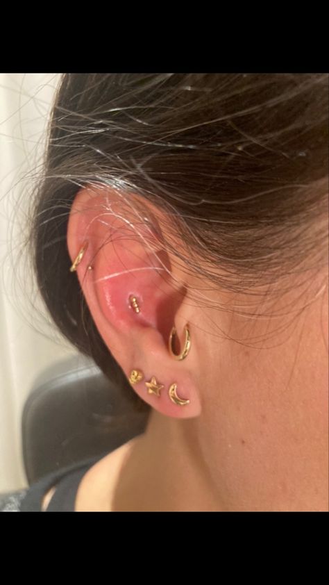 3 Lobe Piercings And Conch, Triple Front Helix Piercing, Tragus And Double Lobe Piercing, Front Helix Piercing Triple, Tragus Helix And Lobe Piercing, Helix, Tragus, Conch, Body Art