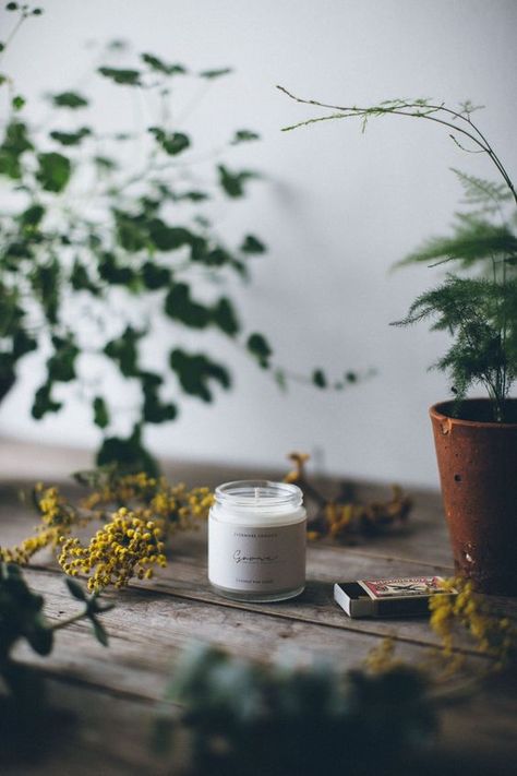 Candle Photography Ideas, Candle Photoshoot, Call Me Cupcake, Pine Essential Oil, Candles Photography, Candle Supplies, Handmade Soy Candle, Cosmetics Photography, Candle Aesthetic