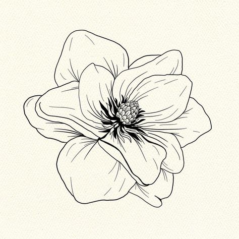 kim ♥ botanical art on Instagram: “magnolia flower on textured paper 🖤 created on @procreate with the studio pen brush #magnoliaflower #magnoliastyle #florallinework…” Magnolia Tree Drawing, Flower Pens, Spine Tattoos For Women, Magnolia Trees, Spine Tattoos, Magnolia Flower, Tree Drawing, Textured Paper, Ink Pen Drawings