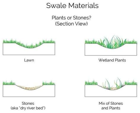 -  - Challenge Title: Stormwater Management Through Landscape Solutions Challenge Difficulty: Intermediate Estimated Time to Complete: 48 hours Required To... Check more at https://digitaldesignnow.com/design-challenge/stormwater-management-through-landscape-solutions/ Wetland Plants, Forest Creek, Retention Pond, Landscape Drainage, Backyard Drainage, Naturalistic Garden, Yard Drainage, Storm Water, Stormwater Management