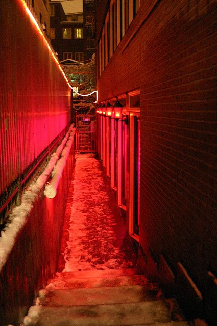 Amsterdam after dark. Watermelon Alcohol, Redlight District, Pir E Kamil, Amsterdam Red Light, Red Light Area, Amsterdam Red Light District, Travel Netherlands, Red Street, Neon Noir