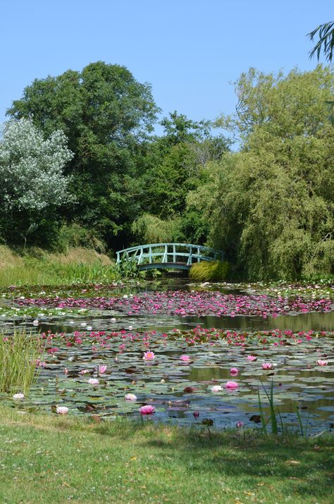 Water Lily Garden, Water Lily Landscape, Water Lilies Pond, Monet Water Lilies Laptop Wallpaper, Monet Water Lilies Orangerie, Under Monet's Pond, Water Lily Pond Photography, Bridge Over A Pond Of Water Lilies Monet, Monet The Water Lily Pond