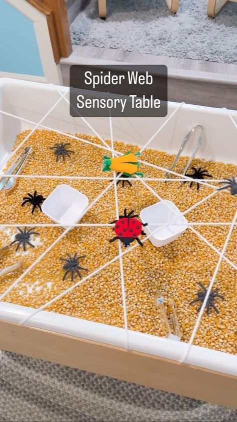 Spider Web sensory table: 🕸️🕷️🕸️🕷️🕸️ The base is filled with popcorn kernels. We wrapped the table with white yarn to make a web, then added little plastic spiders from walmart, tongs from doller tree, and adorable insect finger puppets from ArtFelt.net. Would you like a list of 100 sensory play ideas? I’m happy to drop it in your DMs. 📥 https://playtolearnpreschool.us/sensory-table-ideas/ #PreschoolTeachers #PreKClassroom #Prekindergarten #EarlyChildhoodEd #TeacherResources #ClassroomIdea Bug Sensory Table, Spider Sensory, Insect Study, Jamie White, Sensory Play Ideas, Spider Theme, Bugs Preschool, Prek Classroom, Insects Theme