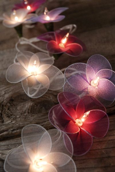 Dorm Lights, Dorm Lighting, Purple String Lights, Flower Fairy Lights, Patio Wedding, Lantern String Lights, Bedroom Light, Lights Home, Violet Flower