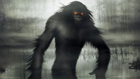 A Traveler's Guide To The Galaxy: Evidence That The Legendary Fouke Monster Is Still... Monster Sightings, House At Night, When She Says, Bigfoot Art, Legendary Monsters, Mysterious Universe, Late Night Drives, Love Monster, Guide To The Galaxy