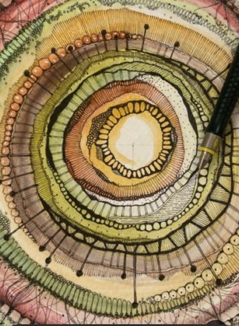 Circle Art Ideas, Watercolour Circles, Hoop Weaving, Tree Journal, Clay Dishes, Circles Art, Geometry In Nature, Circular Art, Watercolor Circles