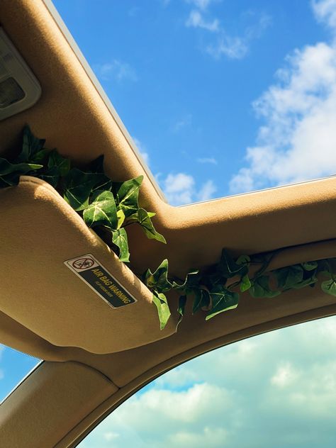 Car Decoration. Vines. Vines in car. Sunroof. Sunny Day. Aesthetic. Car. Sunroof Car Aesthetic Decor, Leaves In Car Decor, Car Accessories Sunroof, Car Incense Holder, Car Vines Decor, Car Decorations Dashboard, Aesthetic Car Decoration, Car Interior Design Aesthetic, Vines In Car Decor