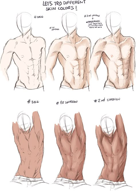 natsubutart: I did this very quickly I hope... - Art References Male Torso Reference, Torso Reference, Reference Male, Portraits Art, Male Torso, Anatomy Sketches, Art Portraits, Anatomy Drawing, Digital Painting Tutorials