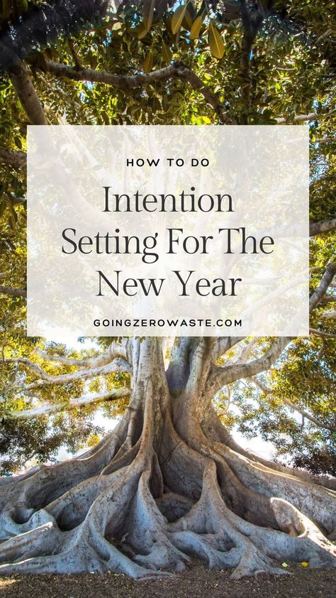 Set yourself up for success in the new year with these simple tips for intention setting! This blog post walks you through the process of creating meaningful, actionable intentions that align with your values and goals. Learn how to reflect on the past year, clarify your priorities, and take small, achievable steps toward living a more purposeful life. Ready to make 2025 your most intentional year yet? Check out the full post for helpful strategies and inspiration! New Year Intention Setting Ritual, New Years Intention Setting, Intentions For The New Year, Setting Intentions For New Year, New Years Intentions, My First Calendar, 2025 Intentions, New Year Intentions, Vision Boarding