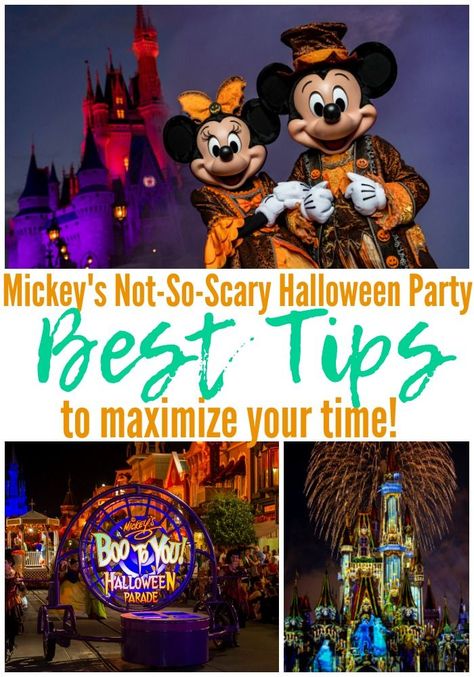 Halloween Party Tickets, Disney Halloween Parties, Disney World Halloween, Mickey Halloween Party, Disney Parque, Not So Scary Halloween Party, Not So Scary Halloween, Disney Vacation Club, Scary Halloween Party