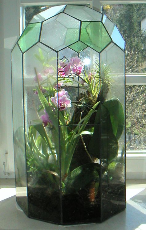 Stained glass terrarium Vase Ecosystem, Terrarium House, Victorian Terrariums, Stained Glass Terrarium, Orchid Terrarium, Hanging Terrarium, Terrarium Containers, Smart Tiles, Hippie Homes