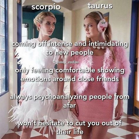 Scorpio Personality, Taurus Memes, Gemini Traits, Gemini And Sagittarius, Taurus Traits, Leo And Aquarius, Taurus And Scorpio, Mbti Types, Sagittarius Quotes