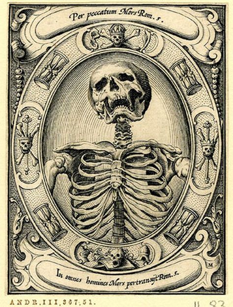 Memento mori woodcut by Alexander Mair, 1605 Memento Mori Art, Art Noir, A Skeleton, Images Vintage, Sphynx, Skull And Bones, Memento Mori, Skull Art, Book Of Shadows