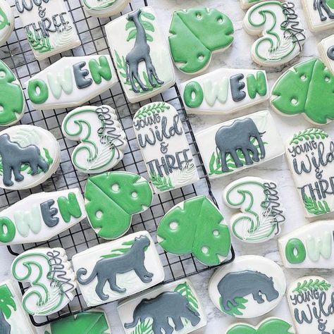 Erica on Instagram: "Young, Wild and THREE!" Wild One Cookies, Young Wild And Three, Sugar Cookie Designs, Diy Cookie, Animal Cookies, Reveal Ideas, Cute Cookies, Icing Cookies, Wild One