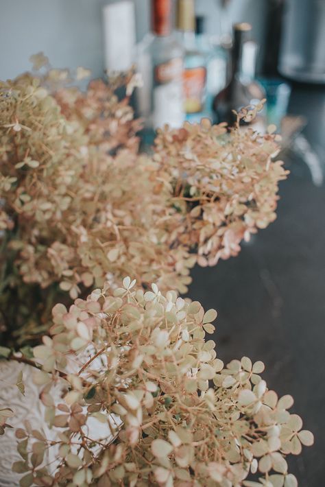 Dried Hydrangea Arrangements, Dried Hydrangeas Centerpiece, Dry Hydrangea Arrangements, Hydrangea Centerpiece Wedding, Eucalyptus Arrangement, House Moodboard, Hydrangea Bouquet Wedding, Harry Wedding, Kiss Goodnight