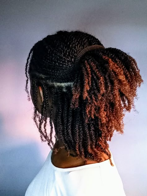 Mini twists on natural hair Dyed Mini Twists, Twist And Lock Natural Hairstyles, Mini Braids With Extensions, Short Mini Twists With Extensions, Coco Twist, Mini Twists With Extensions, Mini Twists On Natural Hair, Twists On Natural Hair, Mini Twists Natural Hair