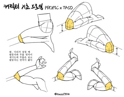 Bent Leg Reference, Taco 1704, Taco Anatomy, Anime Anatomy, Leg Drawing, Taco Drawing, Leg Anatomy, Anime References, Anatomy Tutorial